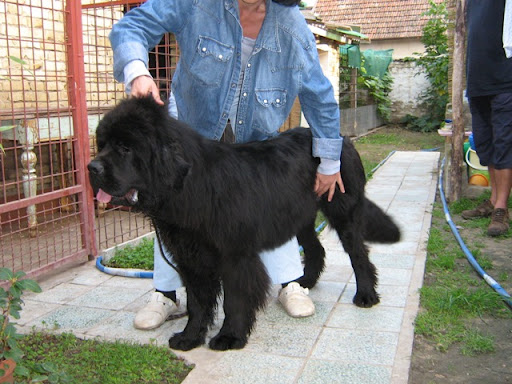 Качена снимка