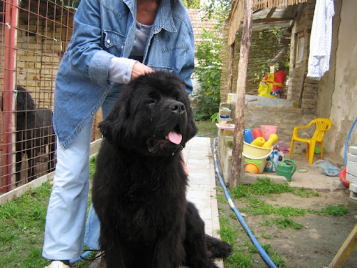 Качена снимка
